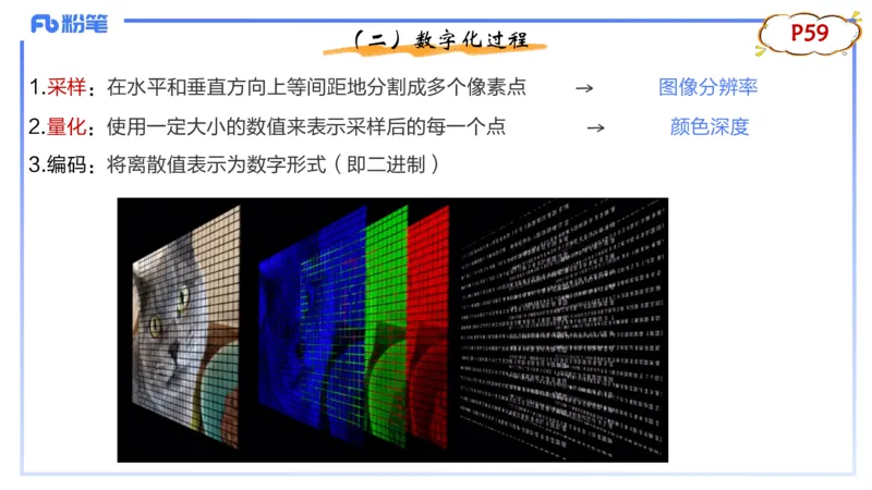1.20晚-理论精讲-多媒体技术1-钮弘俊_4-教培资料-26年最新资料-同步更新_科一科二电子资料合集中小幼（笔记真题知识点汇总等）文件多，按需保存_各机构笔记合集（中小幼）推荐