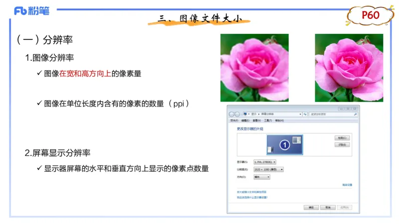 1.20晚-理论精讲-多媒体技术1-钮弘俊_4-教培资料-26年最新资料-同步更新_科一科二电子资料合集中小幼（笔记真题知识点汇总等）文件多，按需保存_各机构笔记合集（中小幼）推荐