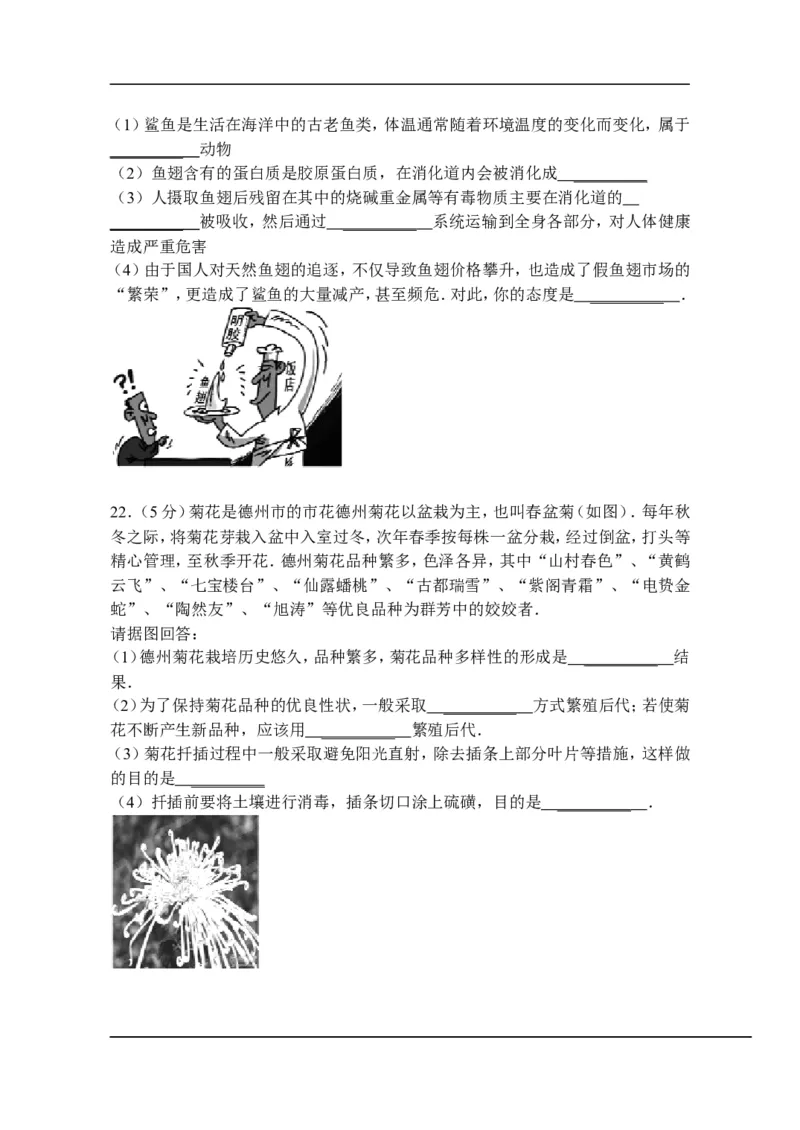 2013年德州市中考生物试题及答案_中考真题_8.生物中考真题2015-2024年_地区卷_山东省_山东德州生物11-20