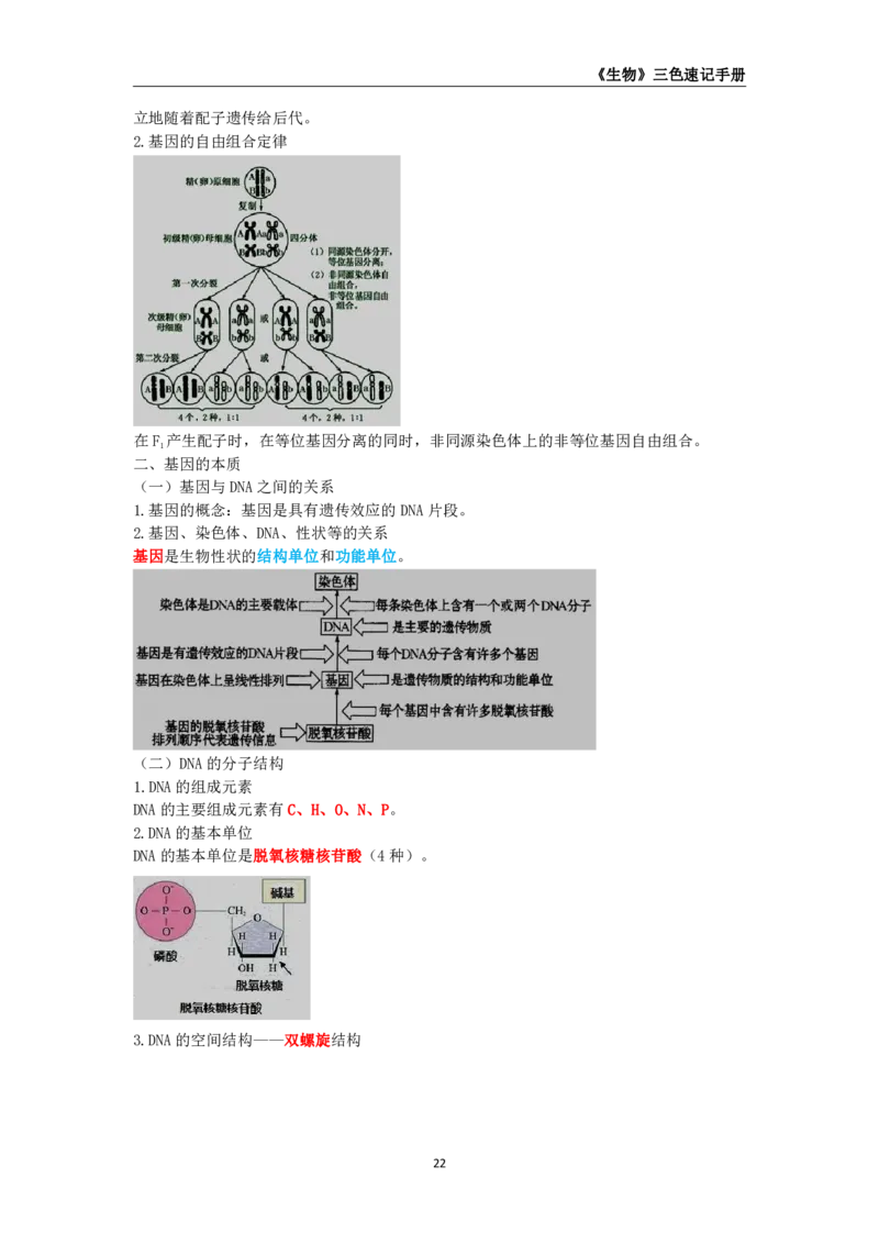教师资格《（高中）生物》三色速记手册_教资_33教资笔试历年真题汇总（科一+科二+科三）_科三真题_02高中科三各科电子资料包合集_生物（资料文档）_高中生物