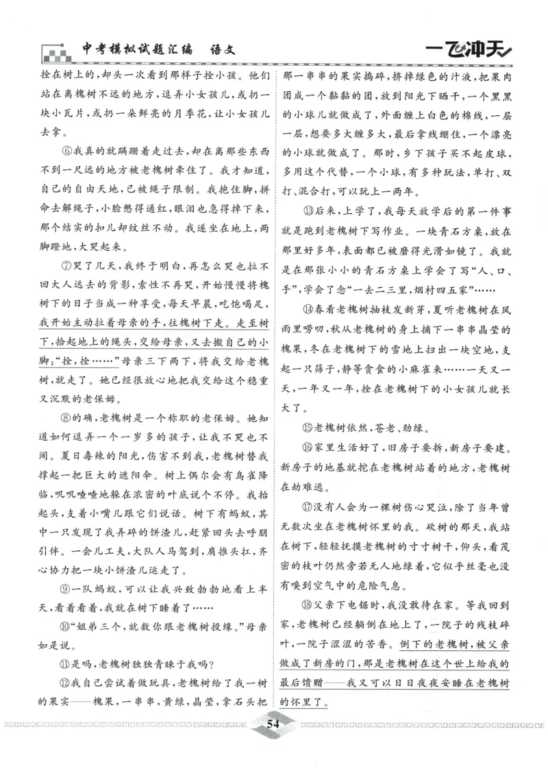 2026《一飞冲天中考模拟试题汇编》语文参考答案_《一飞冲天-中考专项》2026版_一飞冲天-中考模拟试题汇编（2026版）