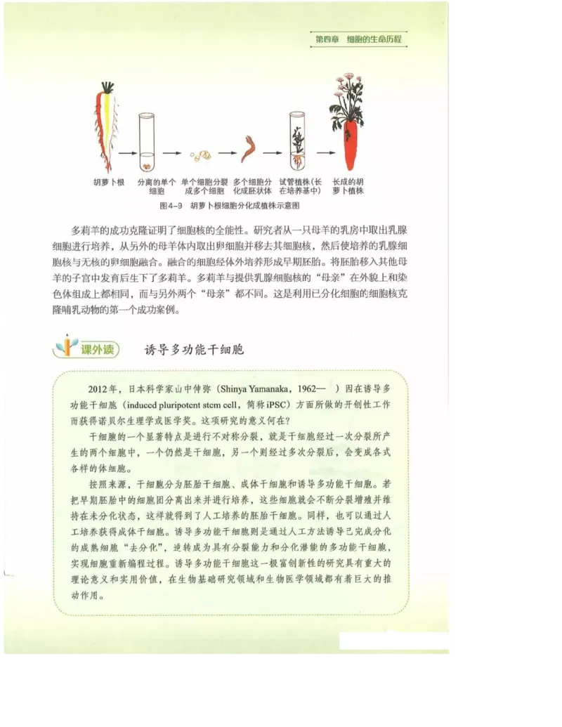 2019新浙科版高中生物必修1《分子与细胞》电子课本_4-教培资料-26年最新资料-同步更新_初中高中教资_03科三专项（进去保存报考的学科即可）_112025高中科目（全）电子教材
