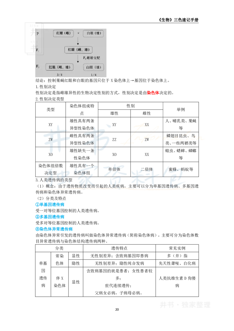 井书&middot;独家资料包教师资格《（高中）生物》三色速记手册（独家整理）_教资_初高中2026教资_25下教师资格证_科三高中各科资料汇总_井书&middot;独家资料包高中各科资料汇总