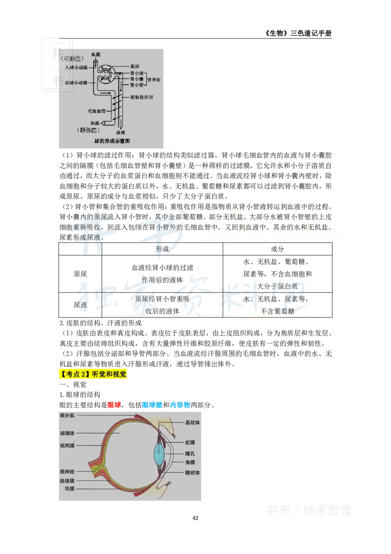 井书&middot;独家资料包教师资格《（高中）生物》三色速记手册（独家整理）_教资_初高中2026教资_25下教师资格证_科三高中各科资料汇总_井书&middot;独家资料包高中各科资料汇总