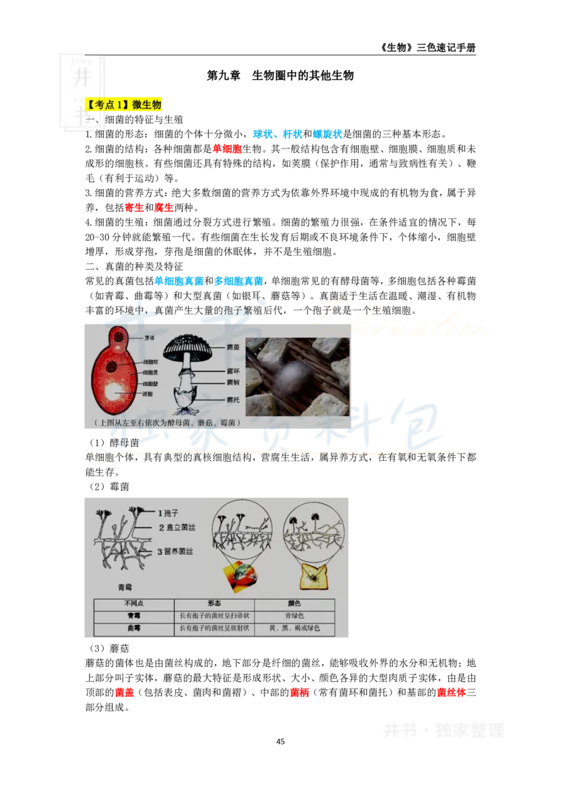 井书&middot;独家资料包教师资格《（高中）生物》三色速记手册（独家整理）_教资_初高中2026教资_25下教师资格证_科三高中各科资料汇总_井书&middot;独家资料包高中各科资料汇总