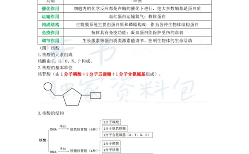 井书&middot;独家资料包教师资格《（高中）生物》三色速记手册（独家整理）_教资_初高中2026教资_25下教师资格证_科三高中各科资料汇总_井书&middot;独家资料包高中各科资料汇总