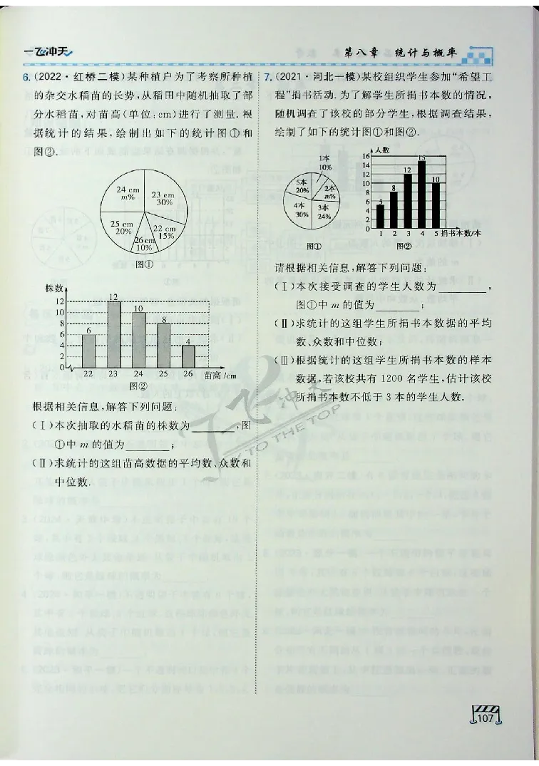2025《一飞冲天-中考专项》数学_《一飞冲天-中考专项》2026版_一飞冲天-中考专项（2025版）