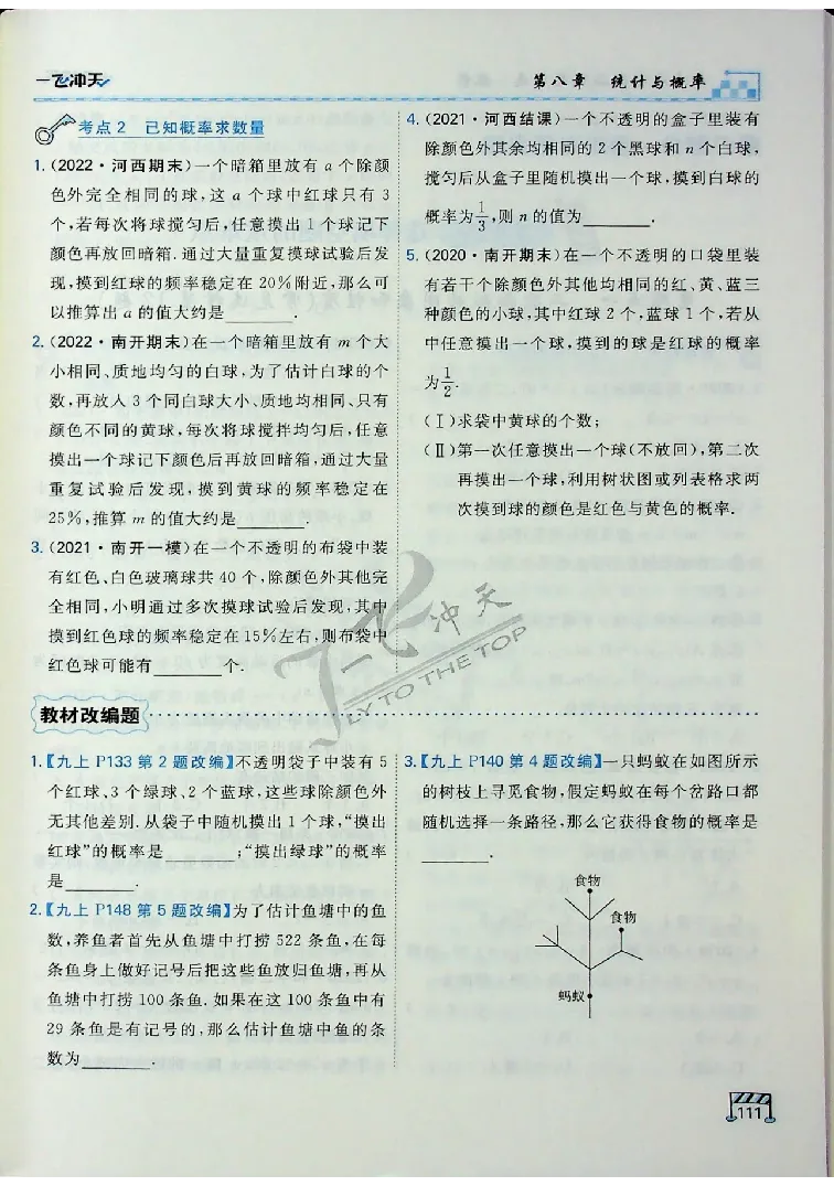 2025《一飞冲天-中考专项》数学_《一飞冲天-中考专项》2026版_一飞冲天-中考专项（2025版）