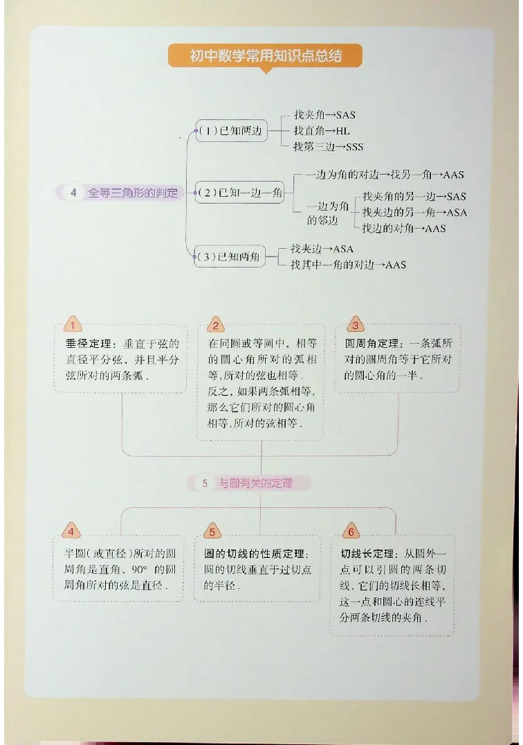2025《一飞冲天-中考专项》数学_《一飞冲天-中考专项》2026版_一飞冲天-中考专项（2025版）