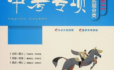 2025《一飞冲天-中考专项》数学_《一飞冲天-中考专项》2026版_一飞冲天-中考专项（2025版）