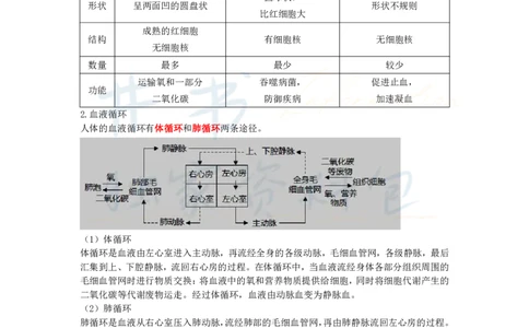 高中生物王炸秘籍5(2)_教资_初高中2026教资_25下教师资格证_科三高中各科资料汇总_井书&middot;独家资料包高中各科资料汇总_井书&middot;独家资料包（高中）生物