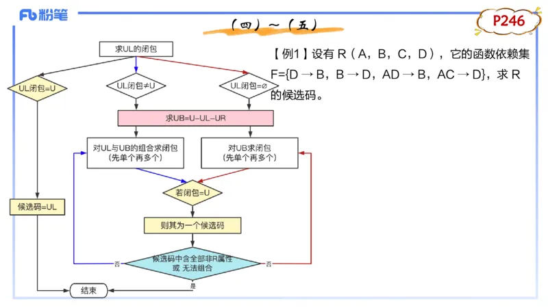 1.28早-理论精讲-数据库技术3-钮弘俊_4-教培资料-26年最新资料-同步更新_科一科二电子资料合集中小幼（笔记真题知识点汇总等）文件多，按需保存_各机构笔记合集（中小幼）推荐