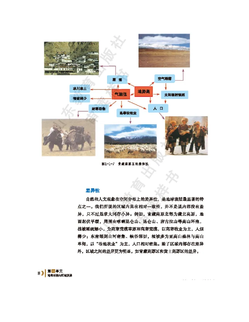 2020新鲁教版高中地理选择性必修二_4-教培资料-26年最新资料-同步更新_初中高中教资_03科三专项（进去保存报考的学科即可）_02科三专项（笔记真题思维导图教学设计版本二）