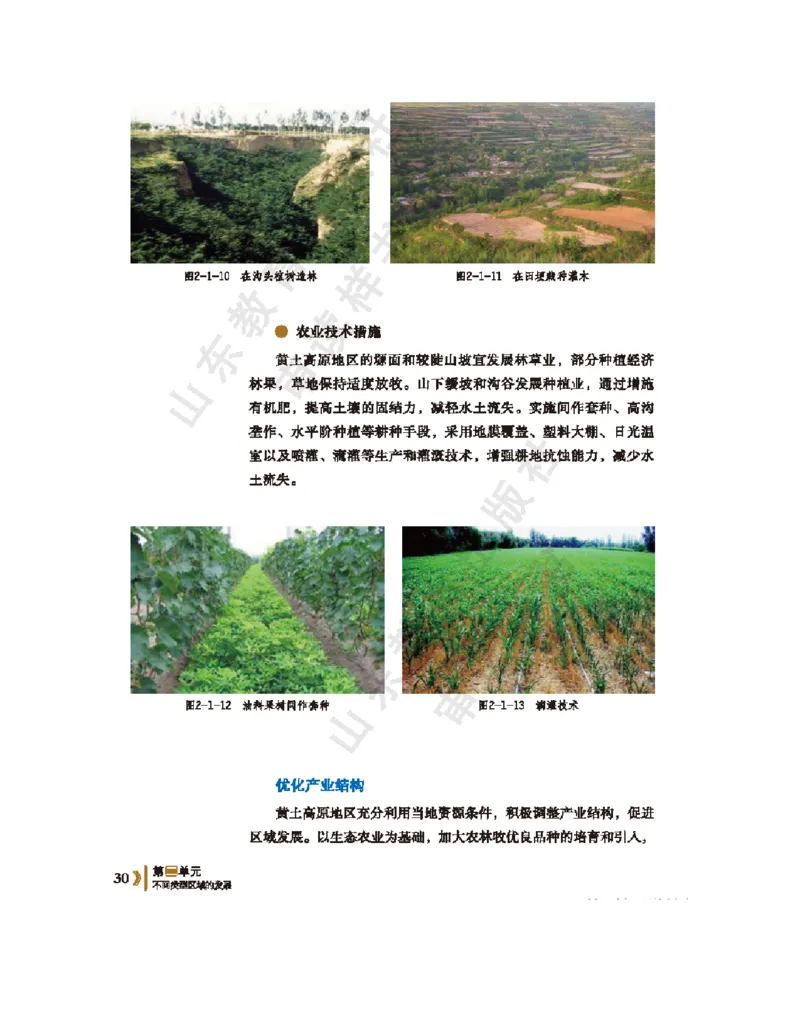 2020新鲁教版高中地理选择性必修二_4-教培资料-26年最新资料-同步更新_初中高中教资_03科三专项（进去保存报考的学科即可）_02科三专项（笔记真题思维导图教学设计版本二）