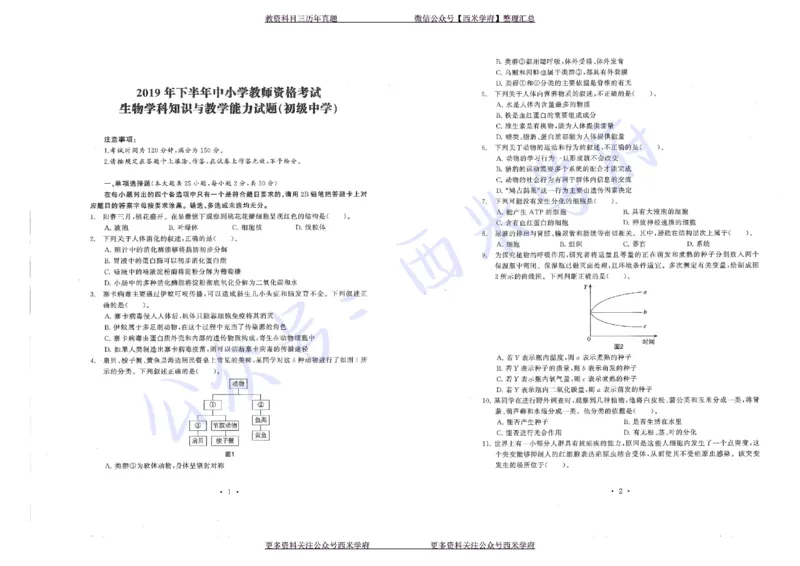 16年上-19年下-初中生物真题-题本_4-教培资料-26年最新资料-同步更新_初中高中教资_03科三专项（进去保存报考的学科即可）_01科目三FB网课、三色速记手册、知识点导图等推荐