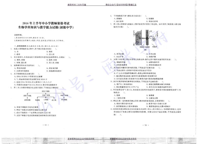 16年上-19年下-初中生物真题-题本_4-教培资料-26年最新资料-同步更新_初中高中教资_03科三专项（进去保存报考的学科即可）_01科目三FB网课、三色速记手册、知识点导图等推荐