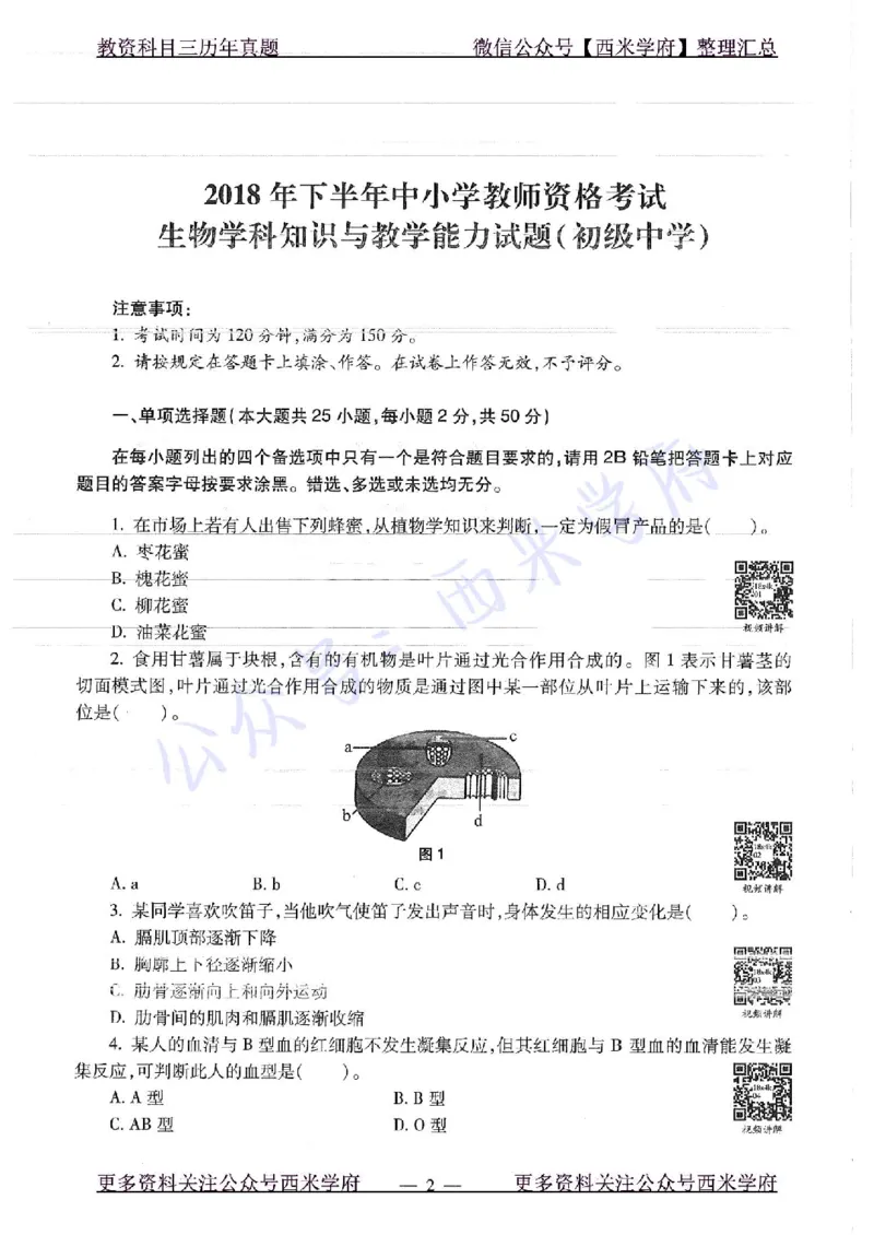 16下-19年上-初中生物真题-题本_4-教培资料-26年最新资料-同步更新_初中高中教资_03科三专项（进去保存报考的学科即可）_01科目三FB网课、三色速记手册、知识点导图等推荐