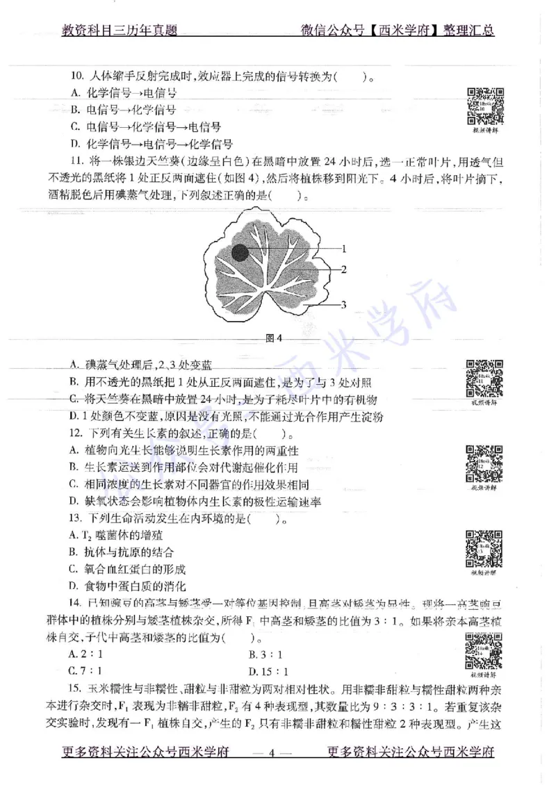 16下-19年上-初中生物真题-题本_4-教培资料-26年最新资料-同步更新_初中高中教资_03科三专项（进去保存报考的学科即可）_01科目三FB网课、三色速记手册、知识点导图等推荐