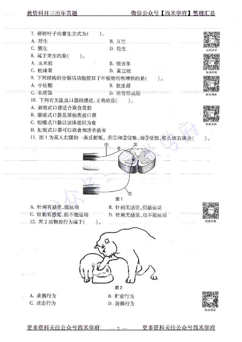 16下-19年上-初中生物真题-题本_4-教培资料-26年最新资料-同步更新_初中高中教资_03科三专项（进去保存报考的学科即可）_01科目三FB网课、三色速记手册、知识点导图等推荐