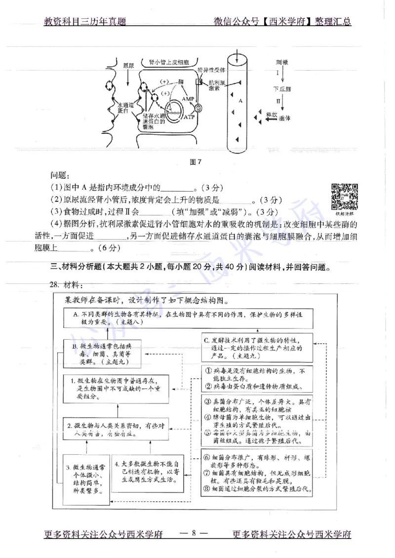 16下-19年上-初中生物真题-题本_4-教培资料-26年最新资料-同步更新_初中高中教资_03科三专项（进去保存报考的学科即可）_01科目三FB网课、三色速记手册、知识点导图等推荐