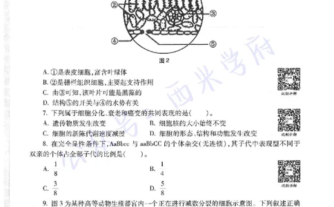 16下-19年上-初中生物真题-题本_4-教培资料-26年最新资料-同步更新_初中高中教资_03科三专项（进去保存报考的学科即可）_01科目三FB网课、三色速记手册、知识点导图等推荐