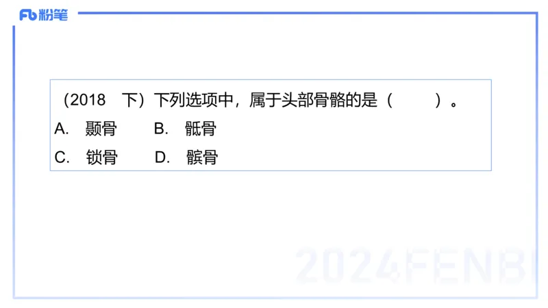2024.1.30-理论精讲-美术基础知识+艺术概论1-明君_4-教培资料-26年最新资料-同步更新_科一科二电子资料合集中小幼（笔记真题知识点汇总等）文件多，按需保存_01西米合集_01理论精讲