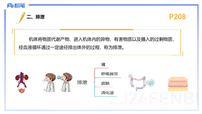 1.25-理论精讲-运动生理学5-王传世+_4-教培资料-26年最新资料-同步更新_科一科二电子资料合集中小幼（笔记真题知识点汇总等）文件多，按需保存_各机构笔记合集（中小幼）推荐