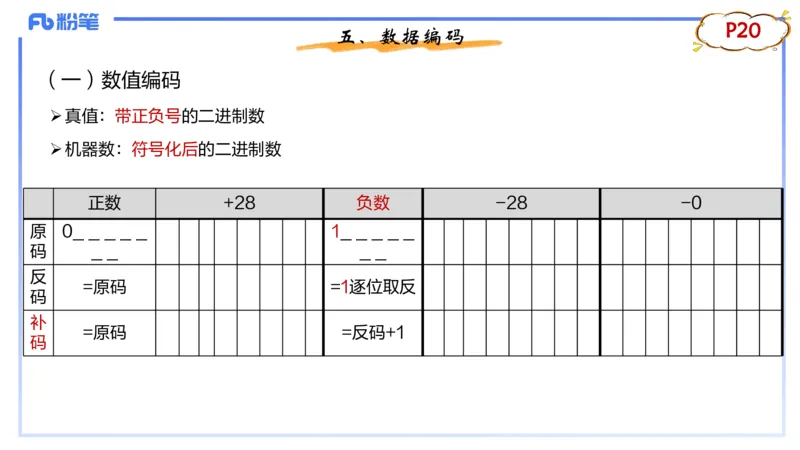 1.17晚-理论精讲-信息和计算机基础3-钮弘俊_4-教培资料-26年最新资料-同步更新_科一科二电子资料合集中小幼（笔记真题知识点汇总等）文件多，按需保存_01西米合集_24上半年系统班