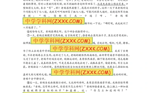 2013年上海中考语文试题及答案_中考真题_1.语文中考真题2015-2024年_地区卷_上海中考语文08-22