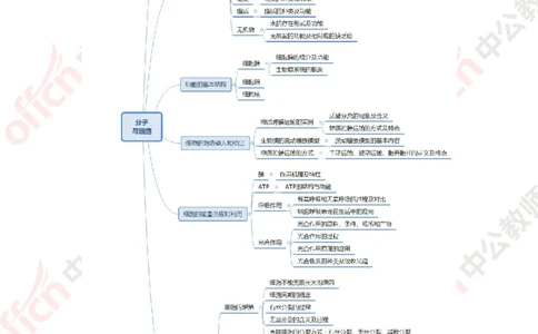 思维导图（生物）_教资_33教资笔试历年真题汇总（科一+科二+科三）_科三真题_02初中科三各科电子资料包合集_生物（资料文档）_初中生物_02科三知识汇总思维导图