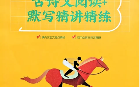 一飞冲天-中考专项精品试题分类-语文古诗文阅读+默写精讲精练_《一飞冲天-中考专项》2026版_一飞冲天-中考专项（2026版）