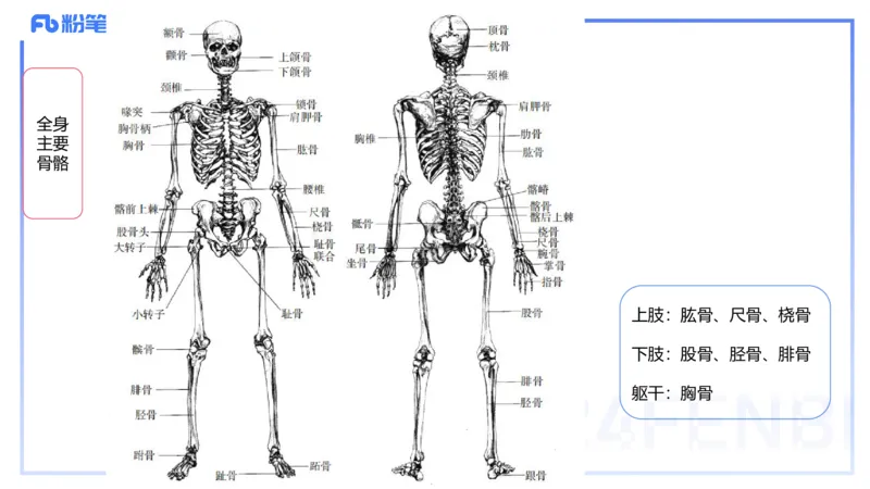 2024.1.31-理论精讲-美术基础知识+艺术概论2-明君_4-教培资料-26年最新资料-同步更新_科一科二电子资料合集中小幼（笔记真题知识点汇总等）文件多，按需保存_01西米合集_01理论精讲