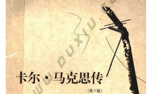 马克思传第3版麦克莱伦_绝版书_天涯系列_天涯神贴高阶合集_稀缺内容_领导人物传记大全_马恩
