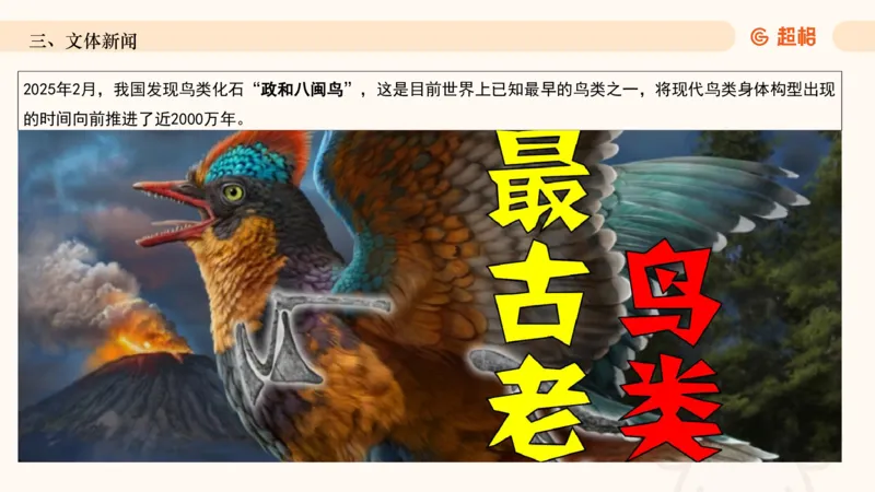 2025年2月时政讲练（下）PPT_2026考公资料_（05）超格_超格时政_时政2025超格时政讲练班⭐⭐⭐_ppt