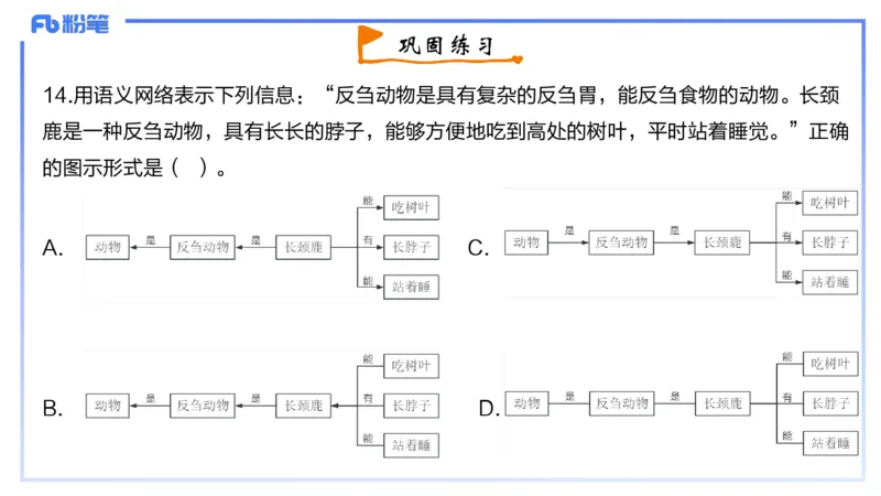 1-2023年下-高中信息技术精选&middot;阿彬_4-教培资料-26年最新资料-同步更新_初中高中教资_03科三专项（进去保存报考的学科即可）_01科目三FB网课、三色速记手册、知识点导图等推荐
