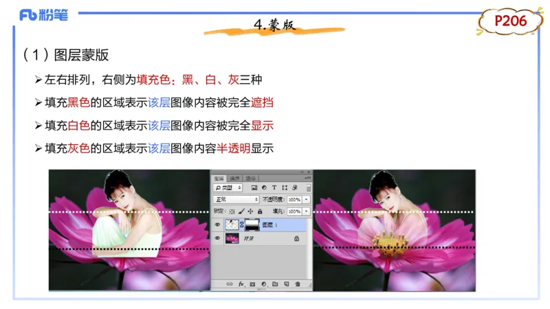 1.21晚-理论精讲-多媒体技术3-钮弘俊_4-教培资料-26年最新资料-同步更新_科一科二电子资料合集中小幼（笔记真题知识点汇总等）文件多，按需保存_各机构笔记合集（中小幼）推荐