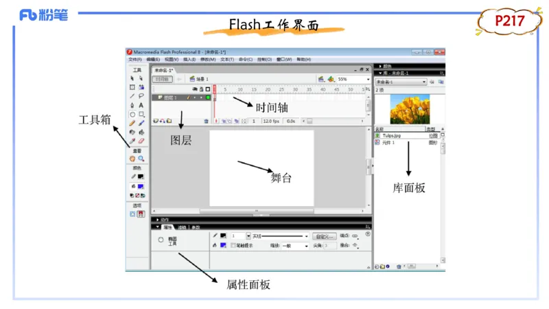 1.21晚-理论精讲-多媒体技术3-钮弘俊_4-教培资料-26年最新资料-同步更新_科一科二电子资料合集中小幼（笔记真题知识点汇总等）文件多，按需保存_各机构笔记合集（中小幼）推荐