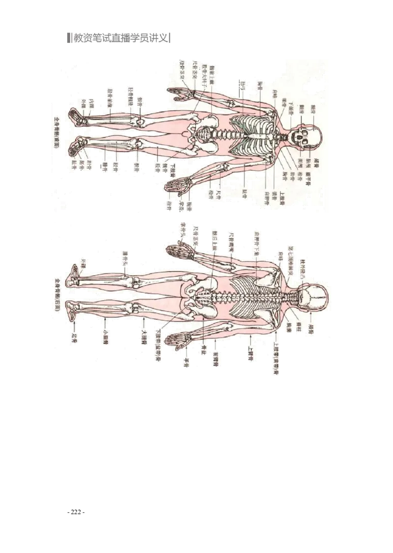 学科知识与教学能力-初中美术讲义321页_教资_33教资笔试历年真题汇总（科一+科二+科三）_科三真题_02初中科三各科电子资料包合集_美术（资料文档）_初中美术