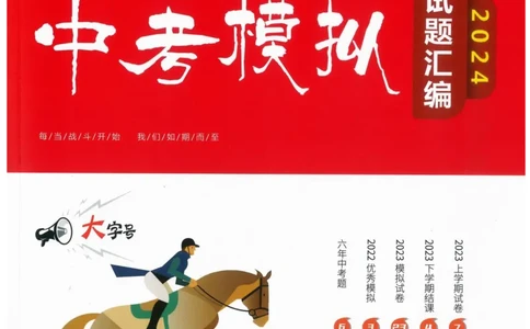 一飞冲天-中考模拟试题汇编-英语_《一飞冲天-中考专项》2026版_一飞冲天-中考模拟试题汇编（2024版）