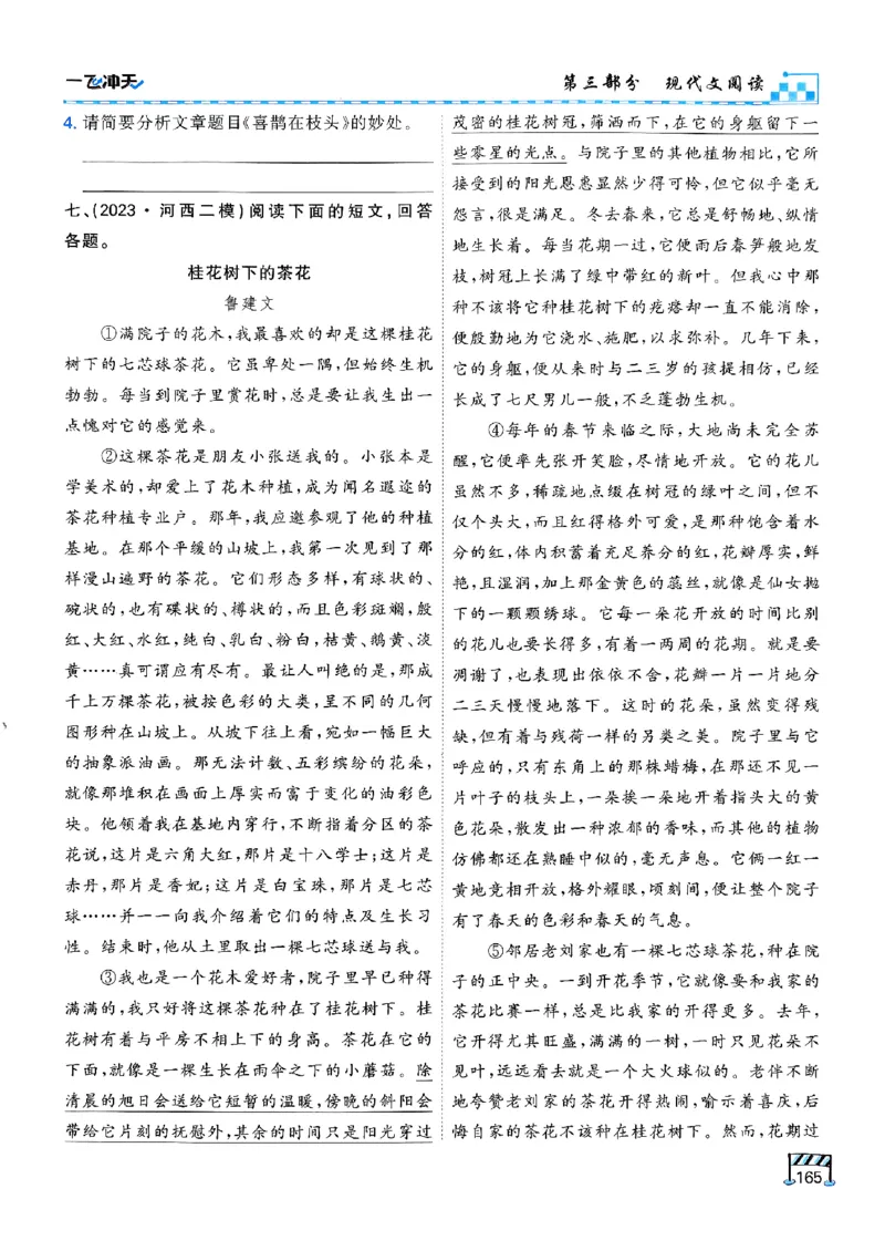 一飞冲天-中考专项精品试题分类-语文_《一飞冲天-中考专项》2026版_一飞冲天-中考专项（2026版）