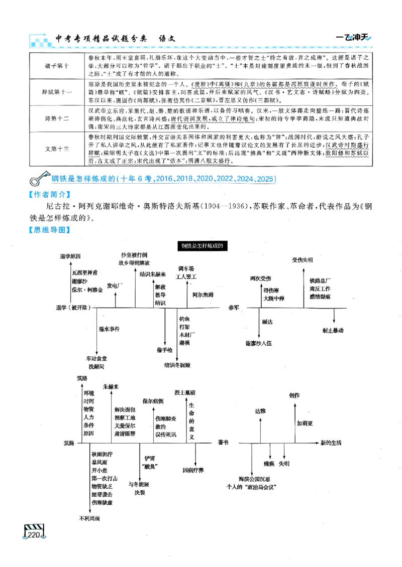 一飞冲天-中考专项精品试题分类-语文_《一飞冲天-中考专项》2026版_一飞冲天-中考专项（2026版）