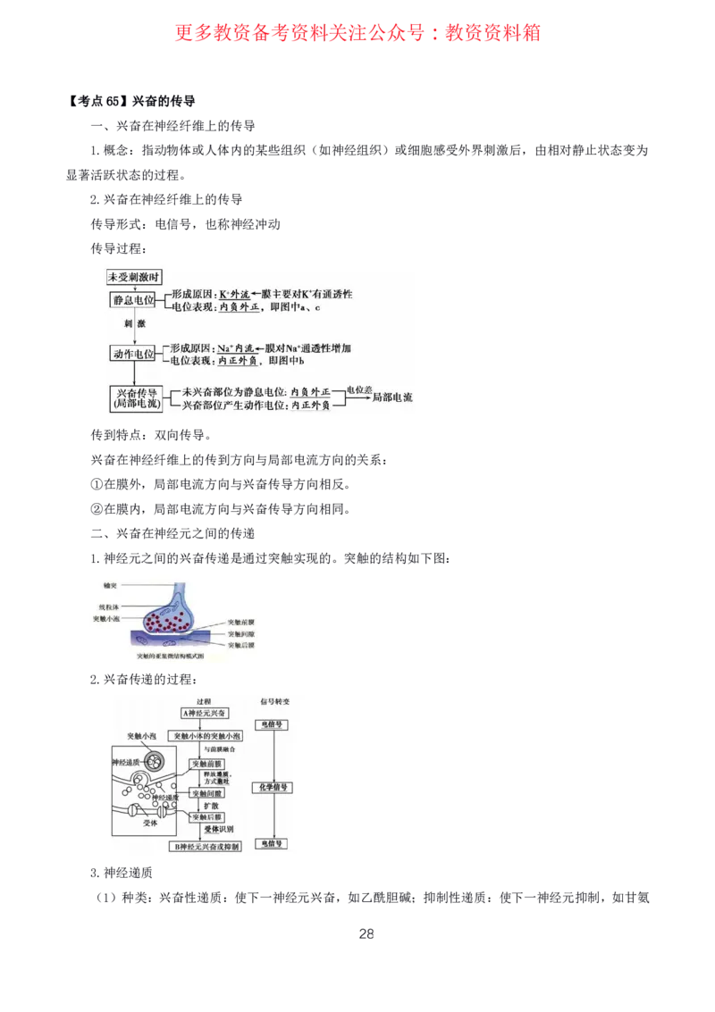 生物高频考点_教资_292026上教资科三高频考点