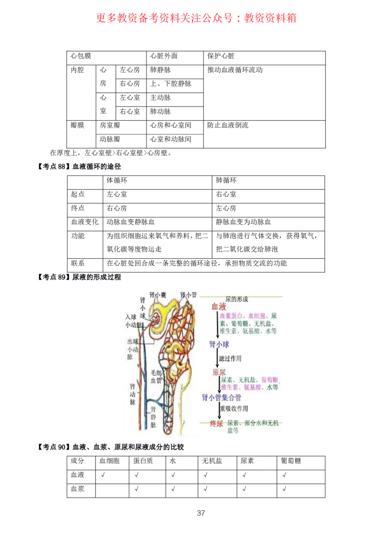 生物高频考点_教资_292026上教资科三高频考点