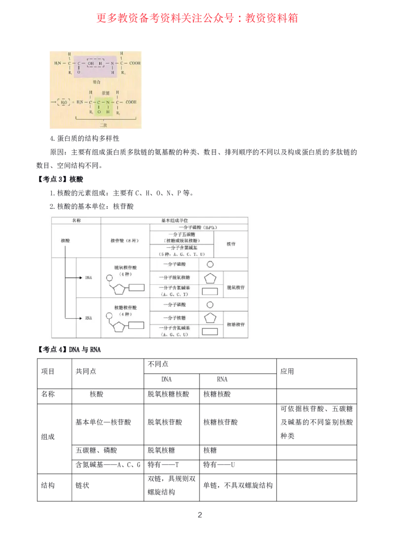 生物高频考点_教资_292026上教资科三高频考点