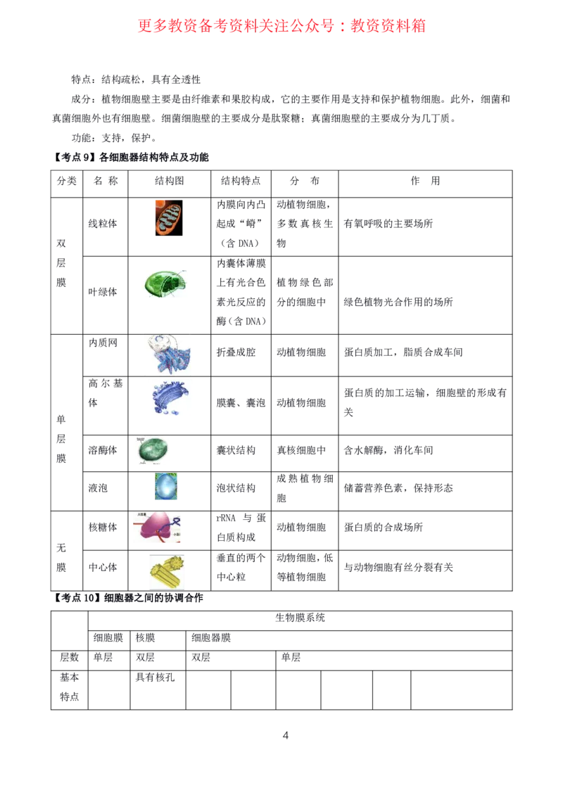 生物高频考点_教资_292026上教资科三高频考点