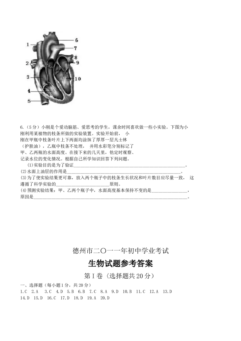 2011年德州市中考生物试题及答案_中考真题_8.生物中考真题2015-2024年_地区卷_山东省_山东德州生物11-20