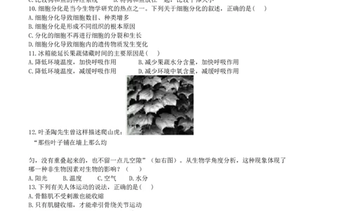 2011年德州市中考生物试题及答案_中考真题_8.生物中考真题2015-2024年_地区卷_山东省_山东德州生物11-20