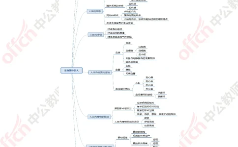 思维导图（生物）_教资_33教资笔试历年真题汇总（科一+科二+科三）_科三真题_02高中科三各科电子资料包合集_生物（资料文档）_高中生物_02科三知识汇总思维导图