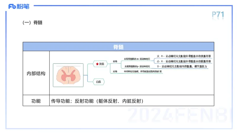1.19-理论精讲-运动解剖学5-王传世+_4-教培资料-26年最新资料-同步更新_科一科二电子资料合集中小幼（笔记真题知识点汇总等）文件多，按需保存_各机构笔记合集（中小幼）推荐