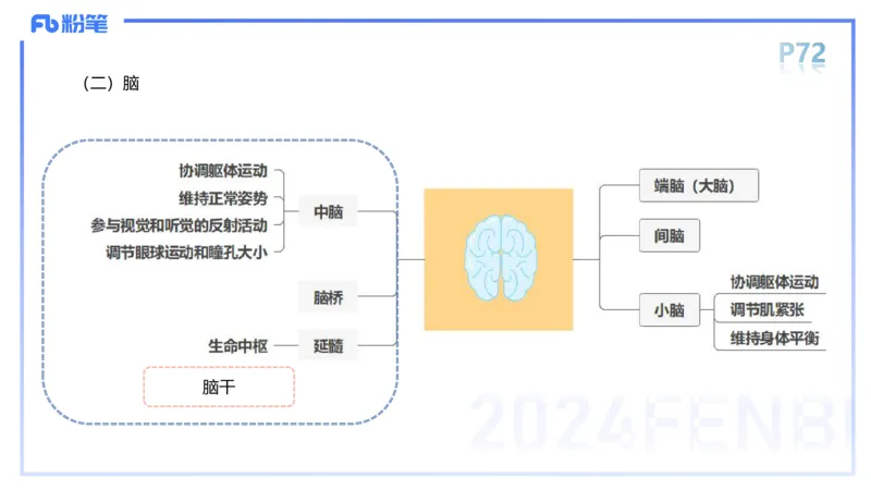 1.19-理论精讲-运动解剖学5-王传世+_4-教培资料-26年最新资料-同步更新_科一科二电子资料合集中小幼（笔记真题知识点汇总等）文件多，按需保存_各机构笔记合集（中小幼）推荐
